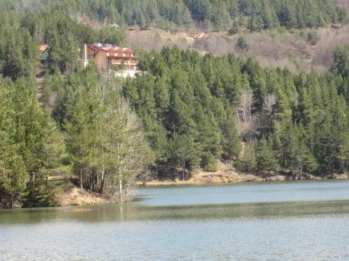 Vip Hotel Berovo - Apartments