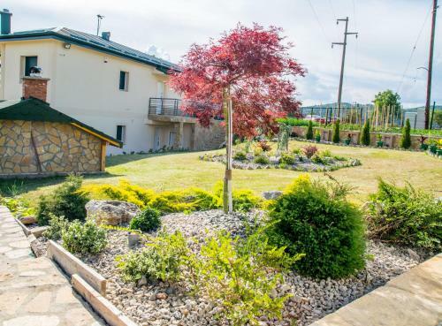Serenity Apartments