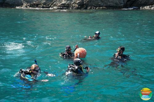 Hostal Acuarius
