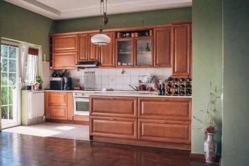 Villa Kupenica