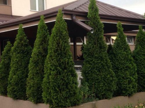 Hostal Naumovski Guest House