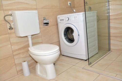 Comfort Apartment
