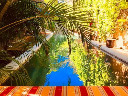 Hacienda La Rusa B&B