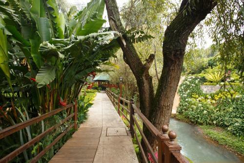 Quinta Sauz