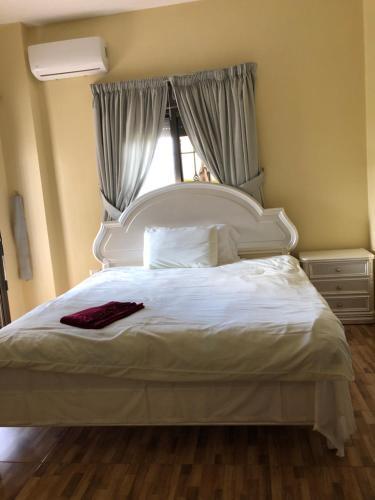 Hostal Honey Guesthouse