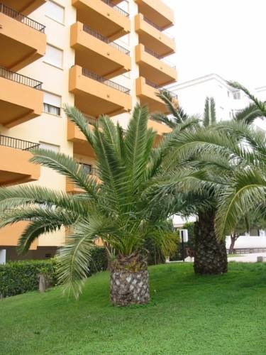 Viviendas Turisticas Apartamentos Tamaris