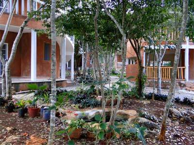 Eco-hotel Nueva Altia