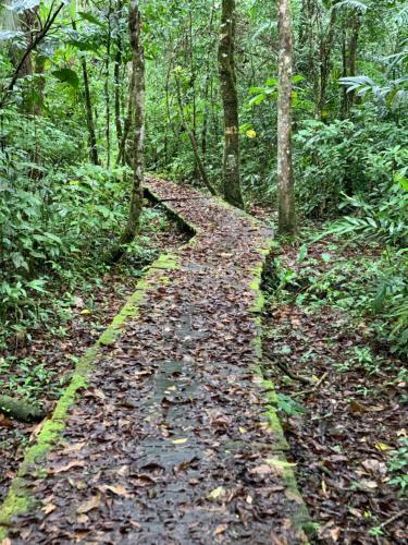 Ecolodge Resort Naha - Selva Lacandona