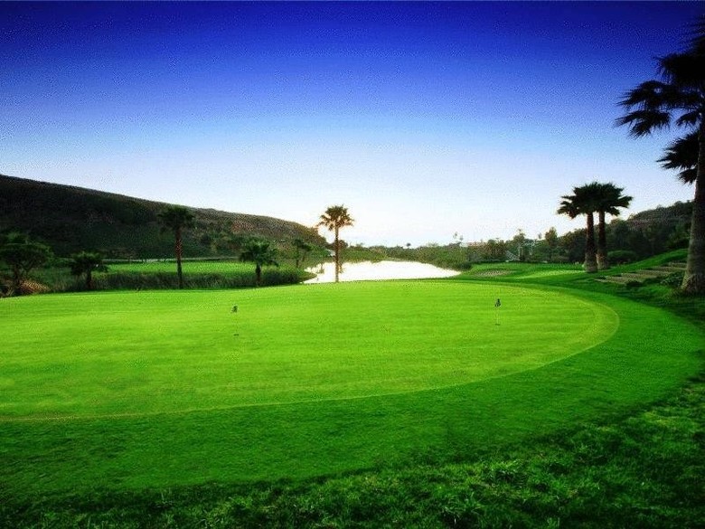 Hotel Real Del Mar Golf Resort & Spa
