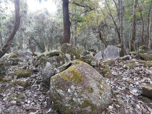 Site 52 - Ban Pakeo & Home Stay ( Full Board)