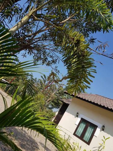 Hostal Green Tea Villa
