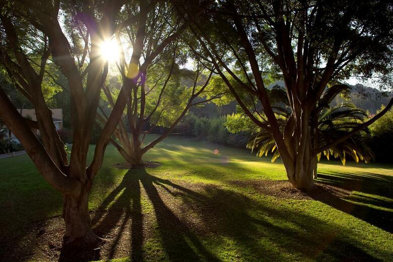 Hotel Rancho San Diego Grand Spa Resort
