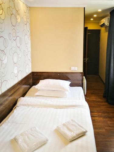 Hotel Salut
