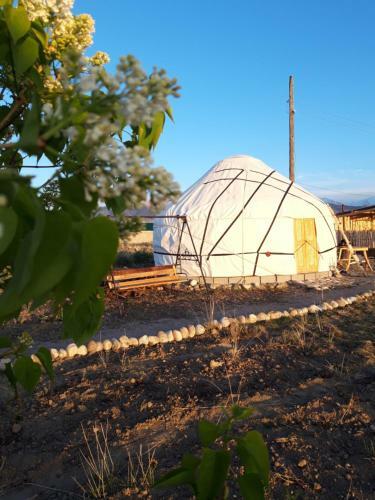 Yurt Camp Sonun