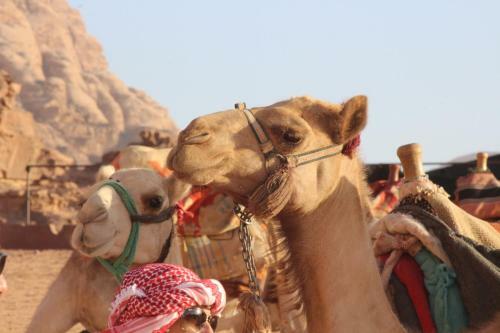 Jamal Rum Camp