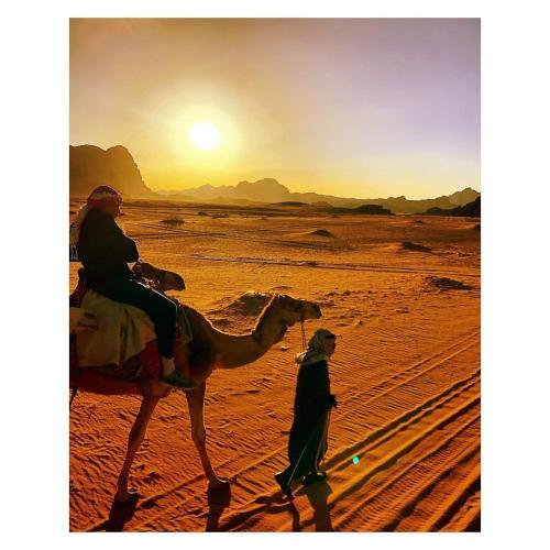 Wadi Rum Desert Camp
