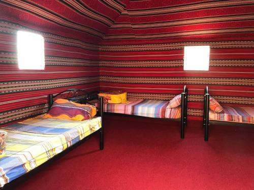 Nights With Bedouin & Jeep Tours