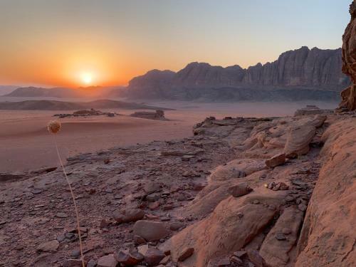 Wadi Rum Bedouin Tour With A Camp