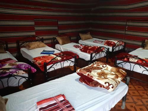 Bedouin Tours Camp