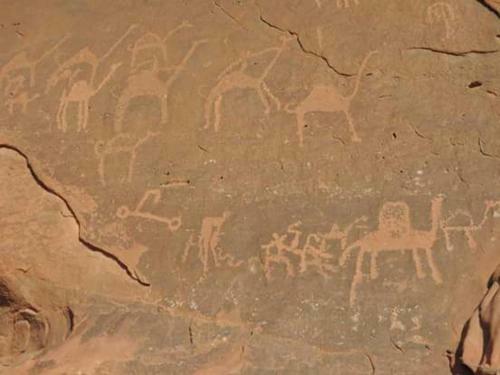 Bedouin Tours Camp