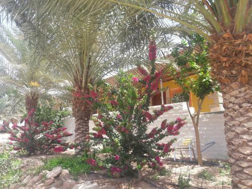 Hotel Darna Divers Village