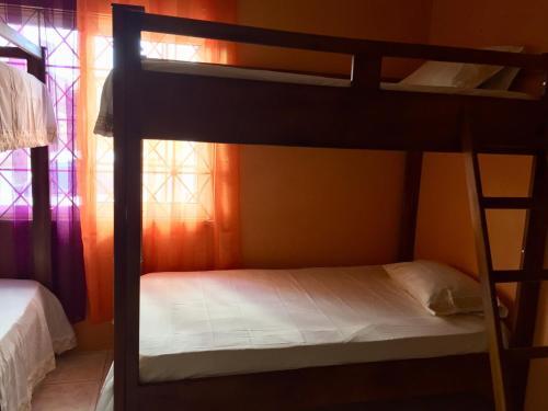 W Hostel