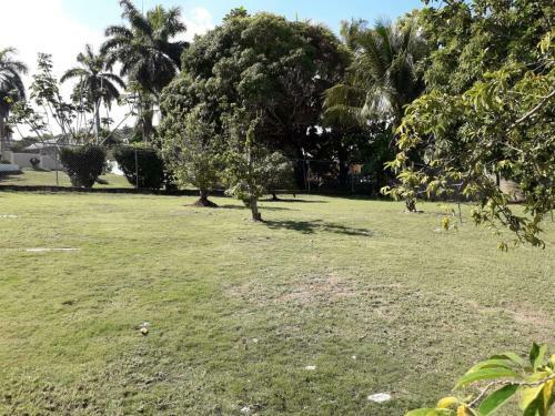 Rose View Apartment
