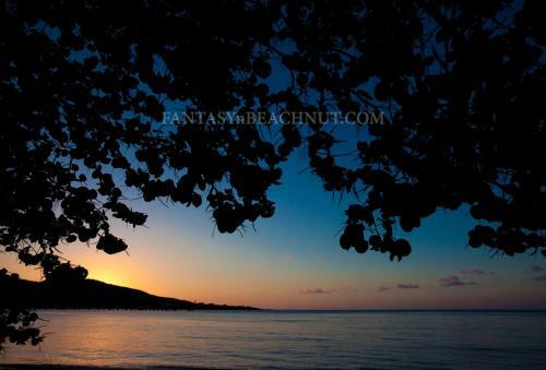 Fantasy & Beachnut Villas