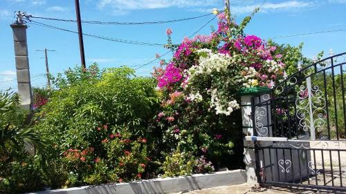 Bed & Breakfast Edens Gate