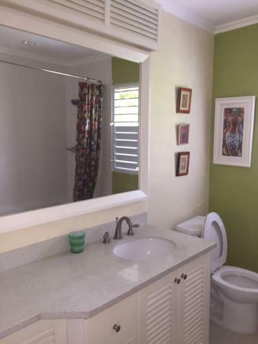 Villa Ocho Rios Under The Palms III