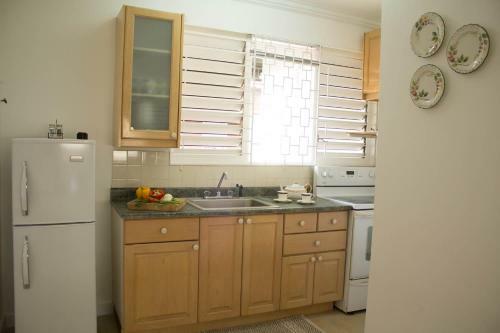 Kingston Luxury Condo Apartment