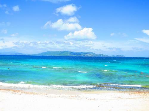 Luxury Beachfront Duplex Villa On Sapphire Beach V