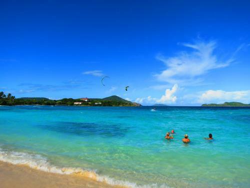 Luxury Beachfront Duplex Villa On Sapphire Beach V