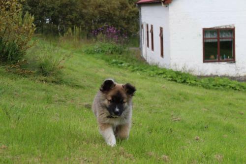 L�kjarhus Farm Holidays