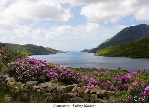 Green Acres Self Catering