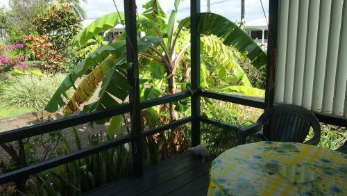 Les Fruits De Goyave