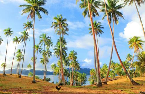 Hotel Matangi Private Island Resort - Adults Only