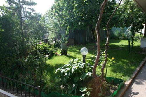 Hostal Tora Bora Guest House