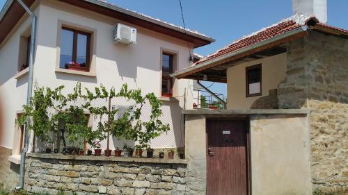 Hostal Guest House Art Eco Land
