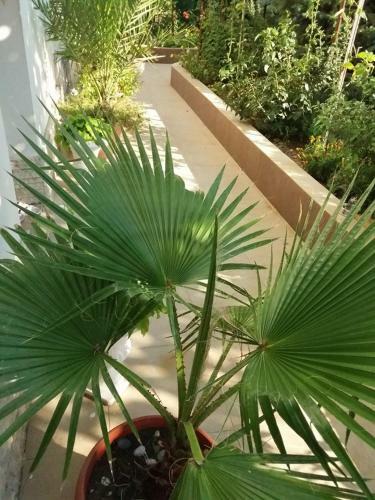 Apartamento Rooms Veska