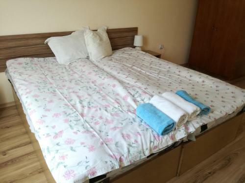 Bazdarovi Apartment