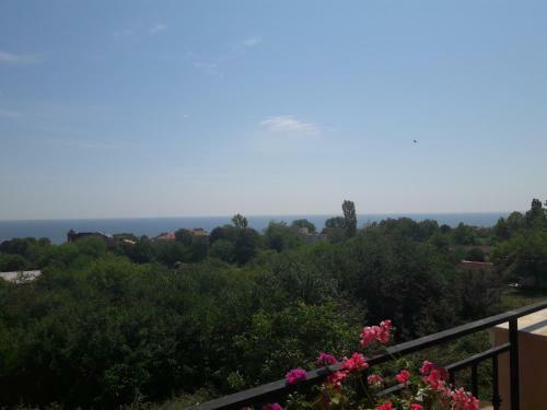 Blue Apartments In Byala