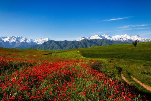 Old Tatev B&B