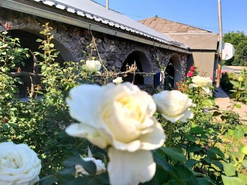 Hostal Tatev Emma B&B