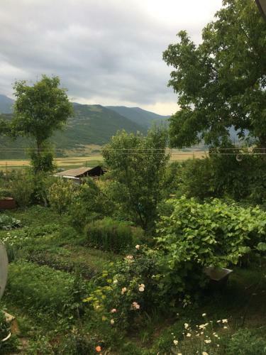Anush`s B&B