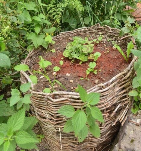 Hostal Holiday Home Ruben