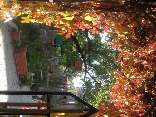 Hostal Hyelandz Eco Village Resort