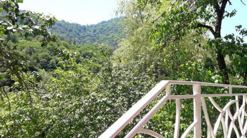 Hostal Green Garden Guesthouse