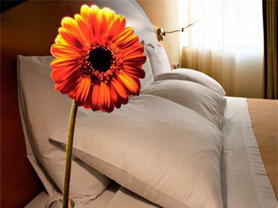 Hotel Casa Grande Suites