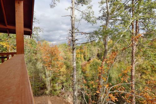 651 Country Oaks Dr Cabin